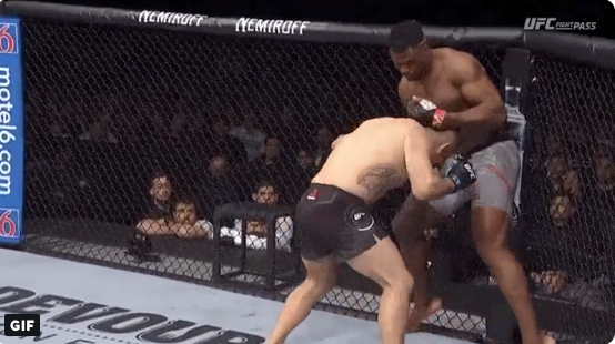 بالفيديو..مقاتل فرنسي يسقط بطل "UFC" بالضربة القاضية